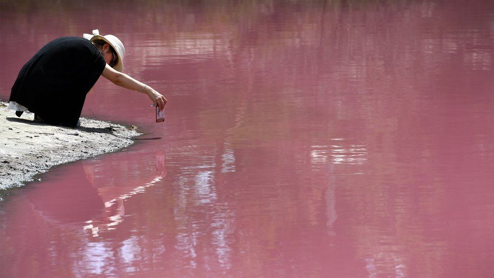 lac roz
