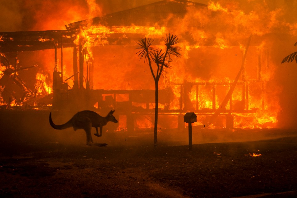 incendii Australia