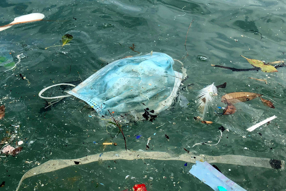 măști aruncate ocean plastic ecologie deșeuri