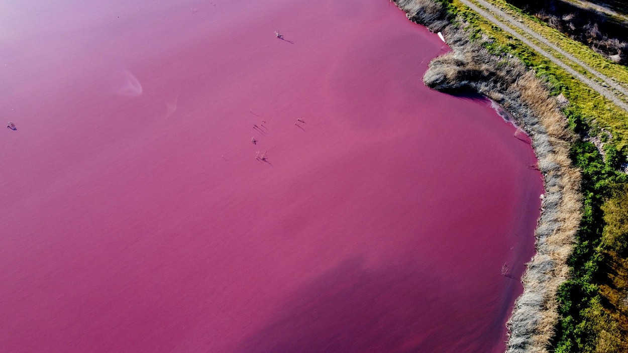 Un lac din Patagonia a devenit roz peste noapte